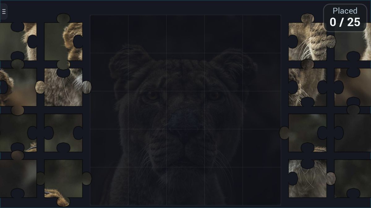 Puzzle in Jambolaya